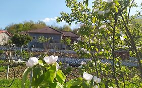 Spring Village Home