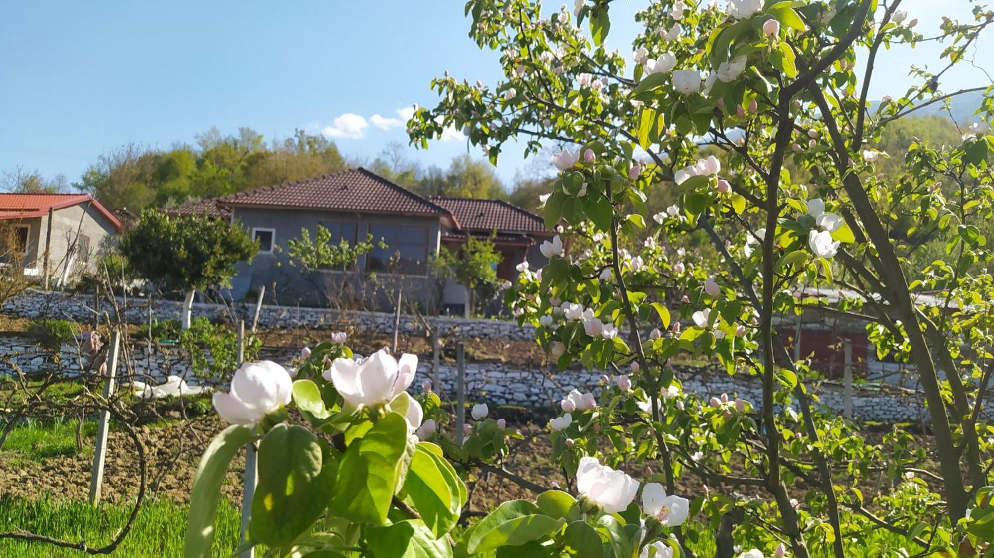 Spring Village Home Përmet Exterior foto