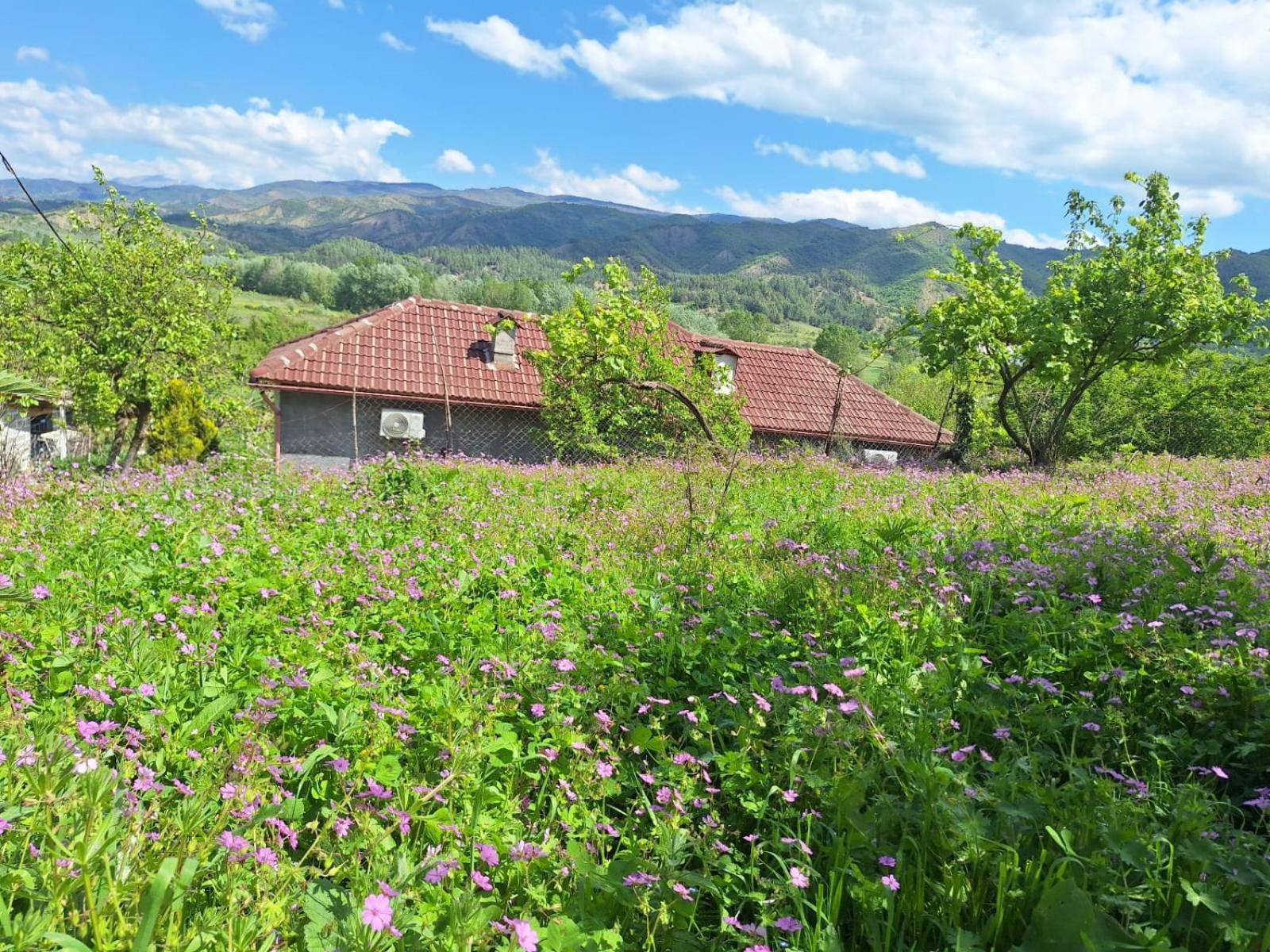 Spring Village Home Përmet Exterior foto